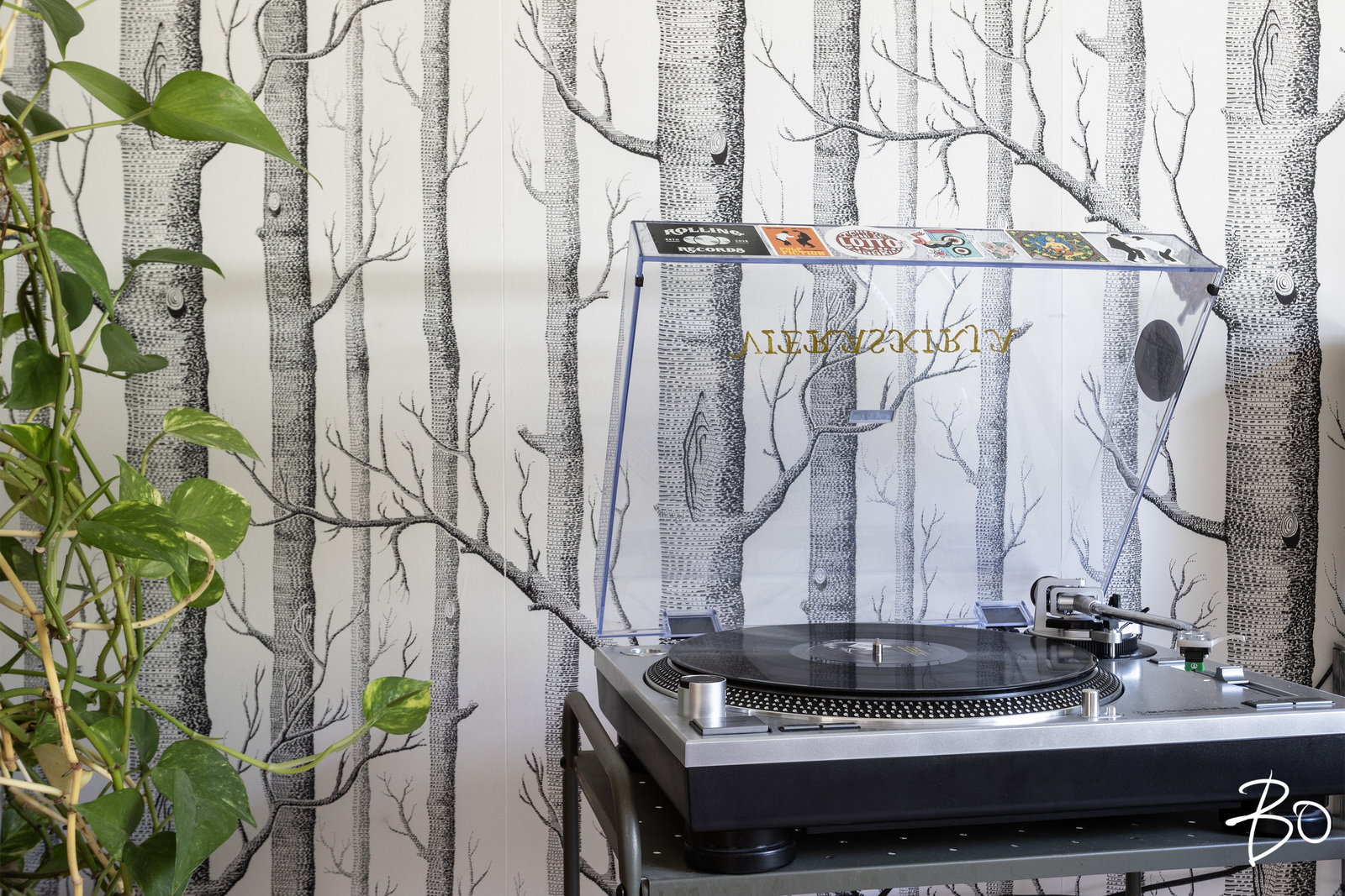 Rasikuja 3 - kuva 16