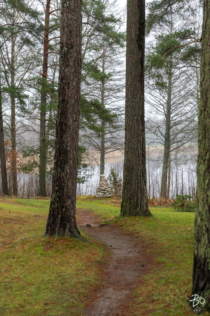 Jalavatie 17 - kuva 29