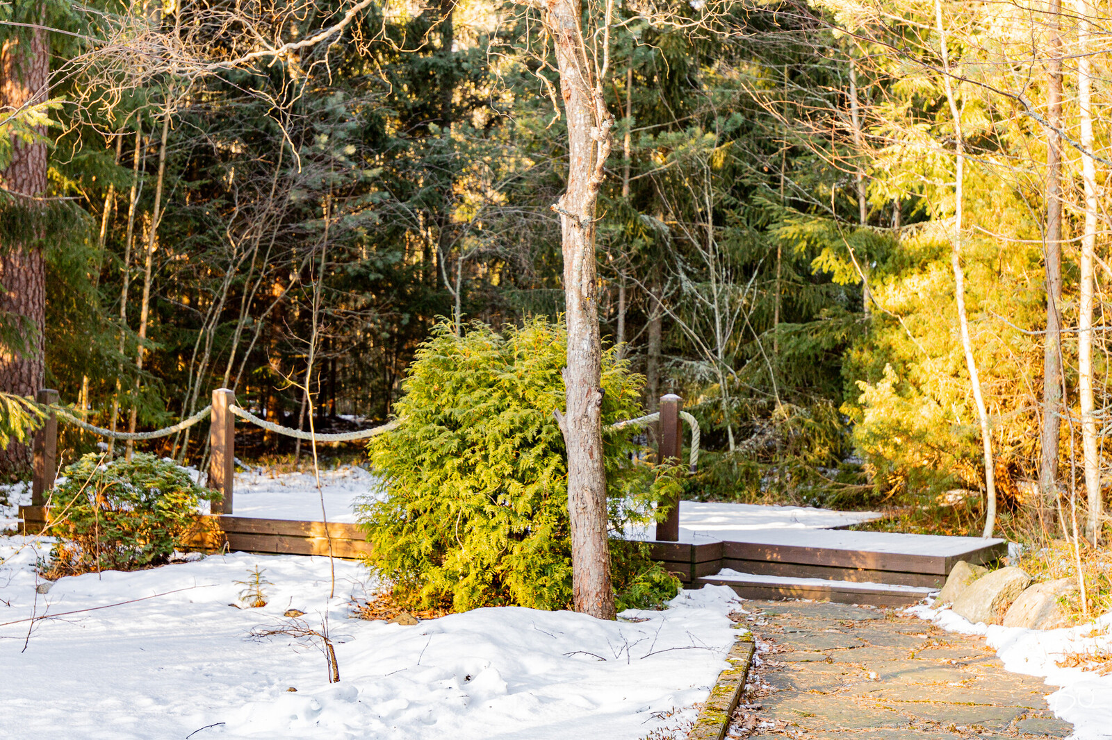 Ykskoivuntie 13 - kuva 49