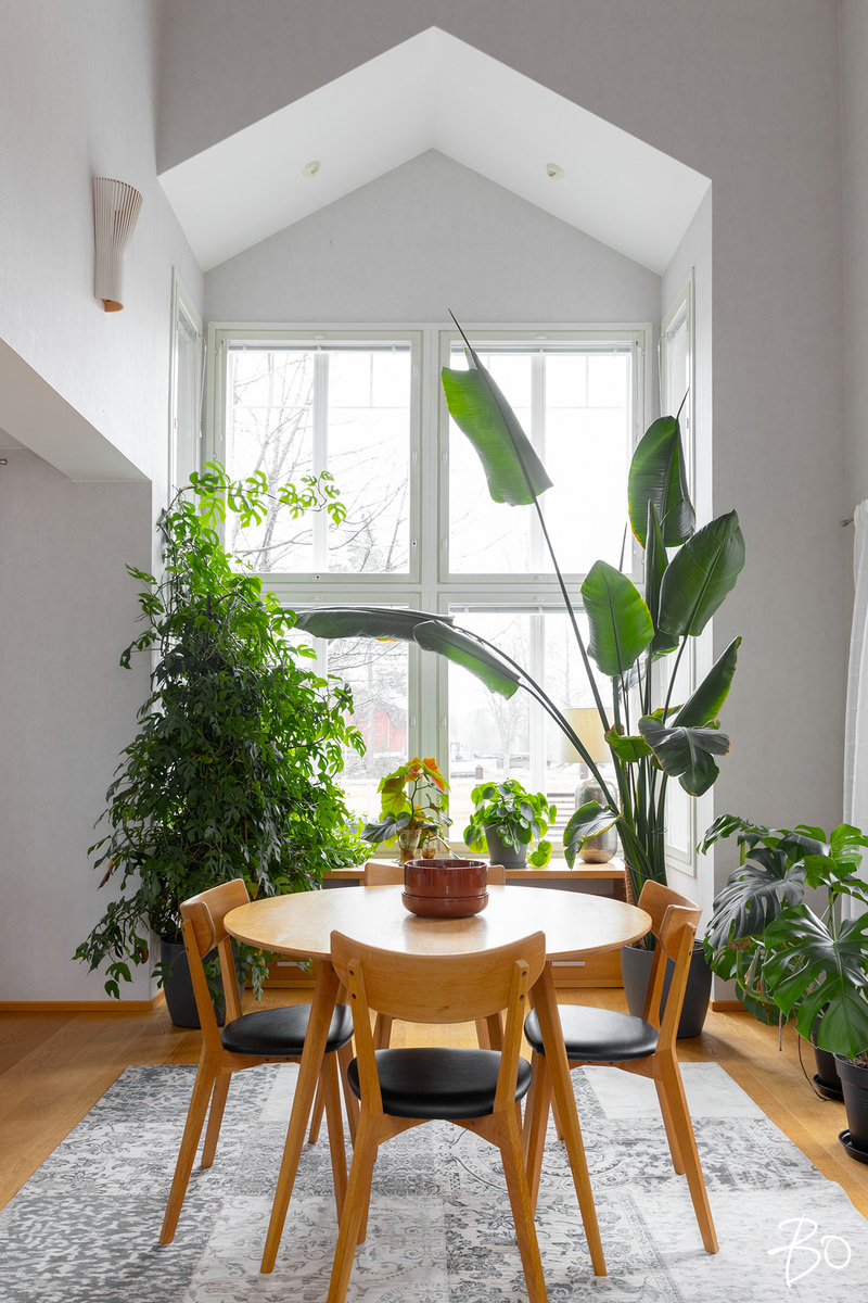 Raumantie 486 B - kuva 6