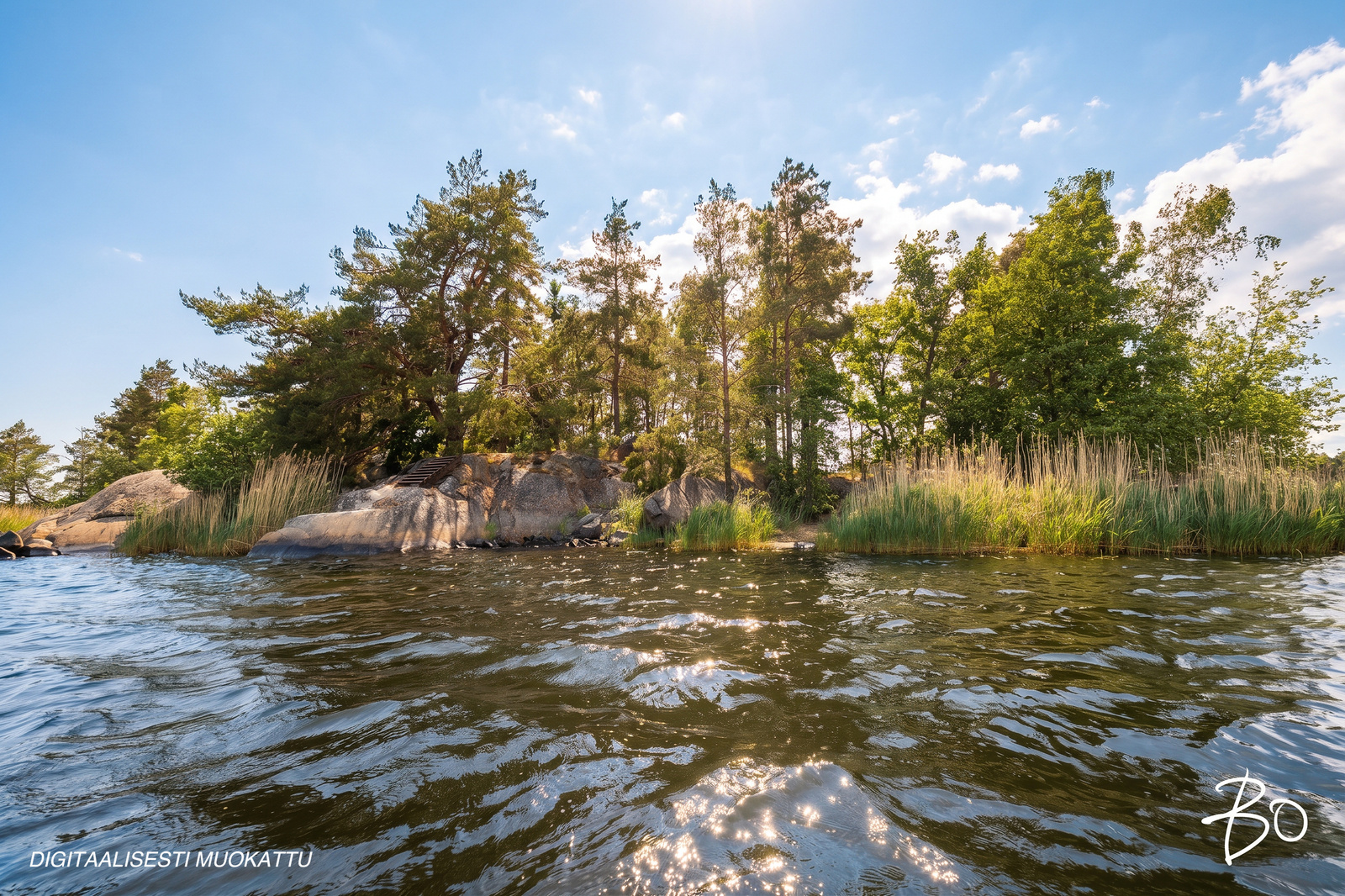 Saunakari, Ahlainen  - bild 25