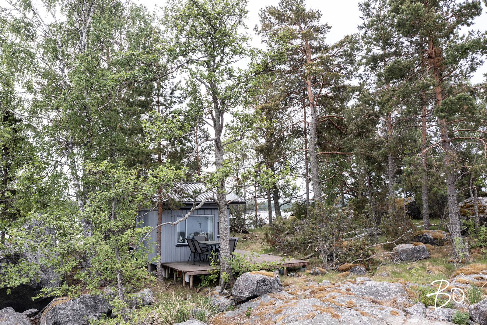 Saunakari, Ahlainen  - bild 13