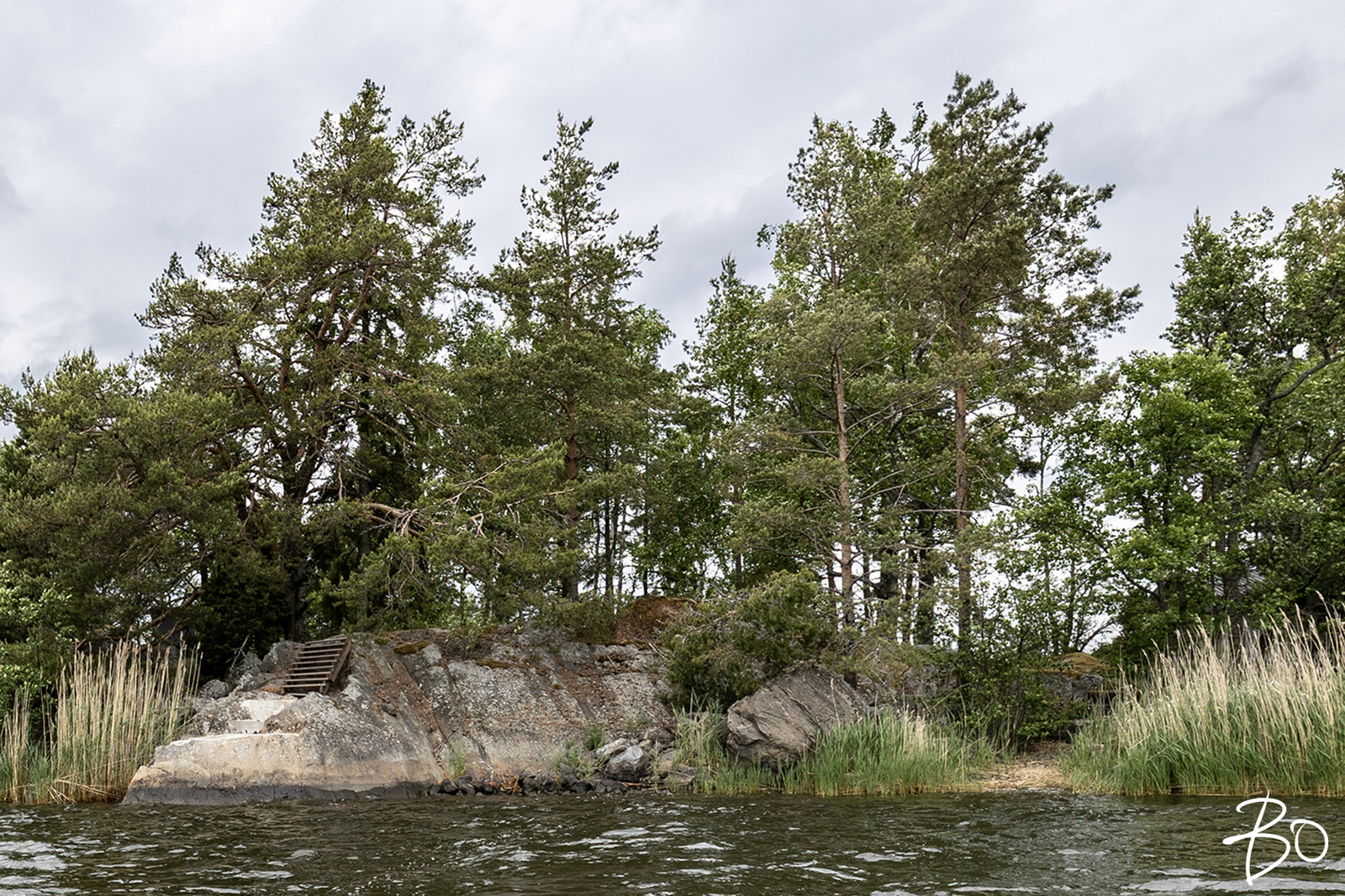 Saunakari, Ahlainen  - bild 21