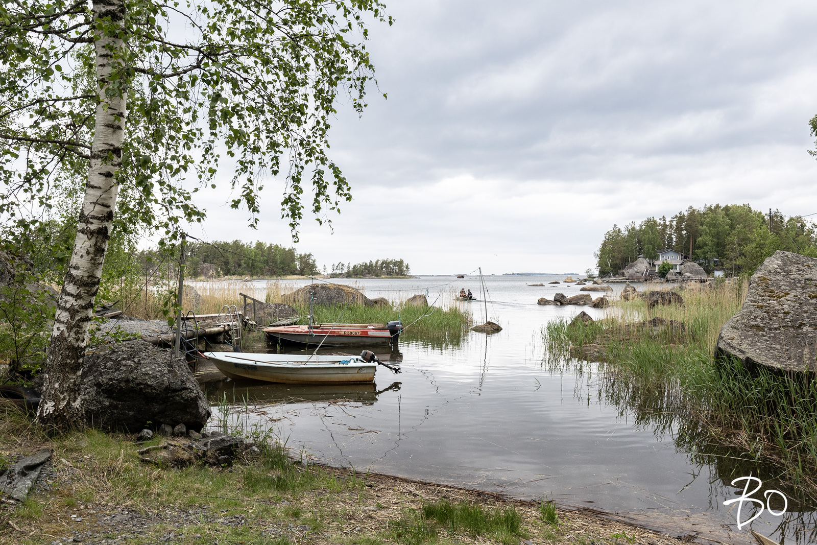 Saunakari, Ahlainen  - bild 15