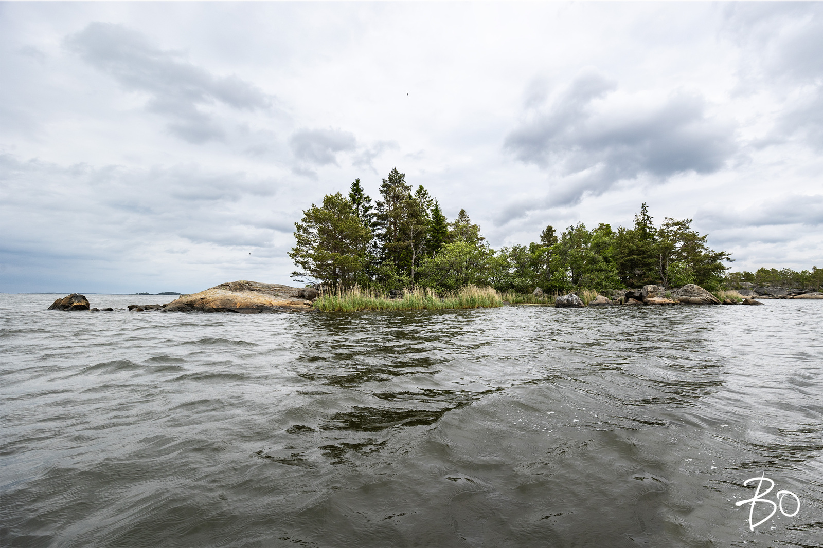 Saunakari, Ahlainen  - bild 23