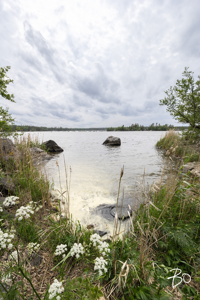 Saunakari, Ahlainen  - bild 20