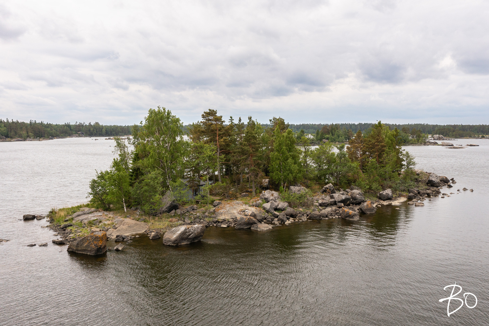 Saunakari, Ahlainen  - bild 17
