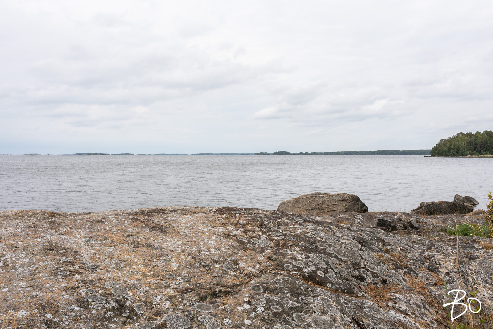 Saunakari, Ahlainen  - bild 19