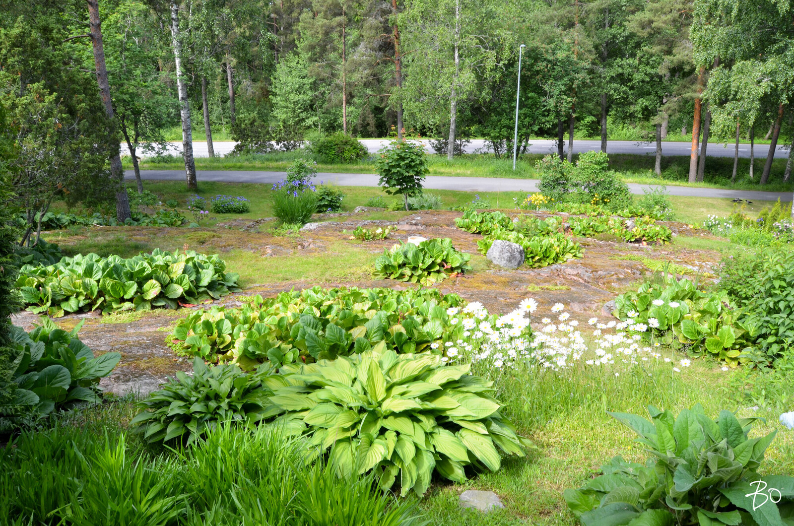 Viklakuja 8-12 - image 22