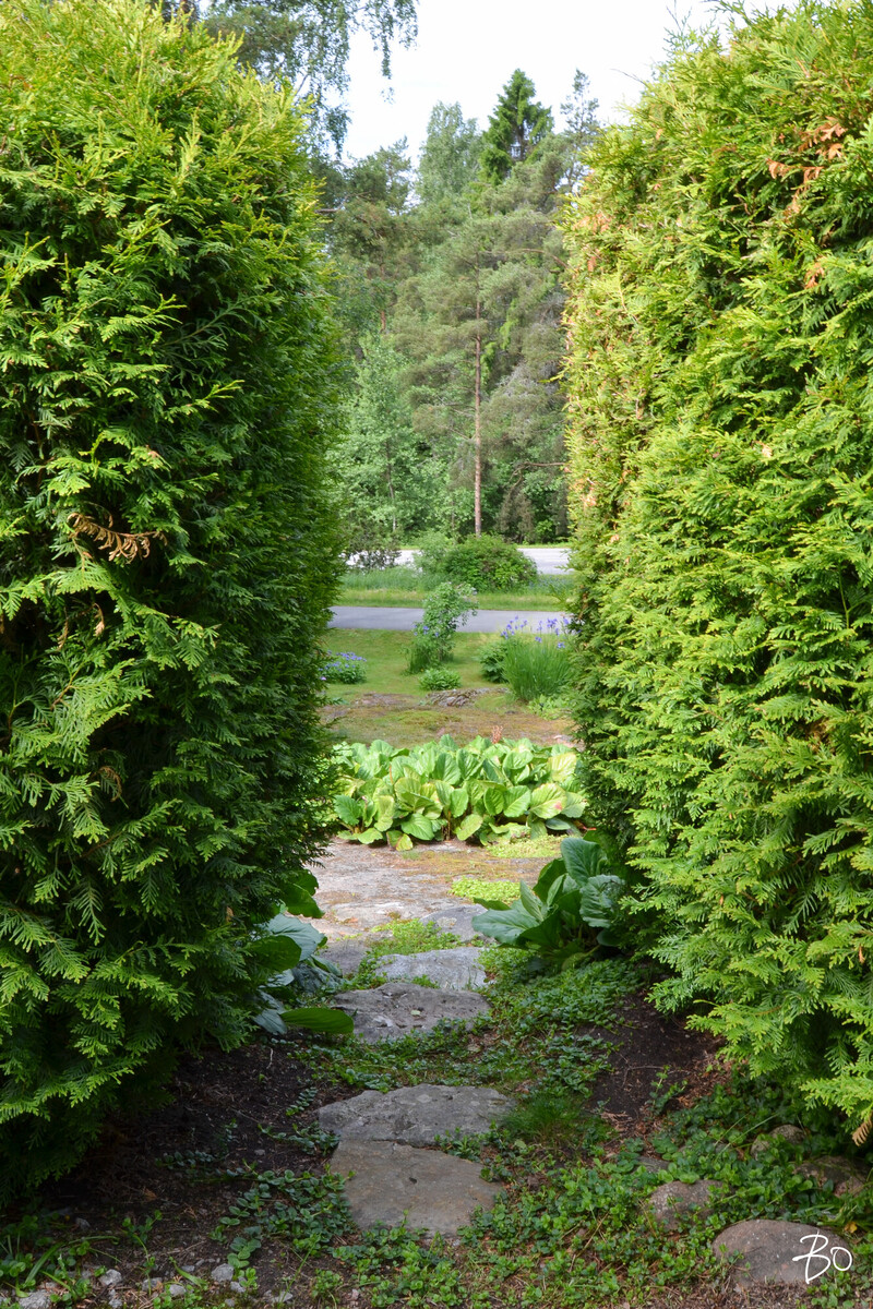 Viklakuja 8-12 - image 23