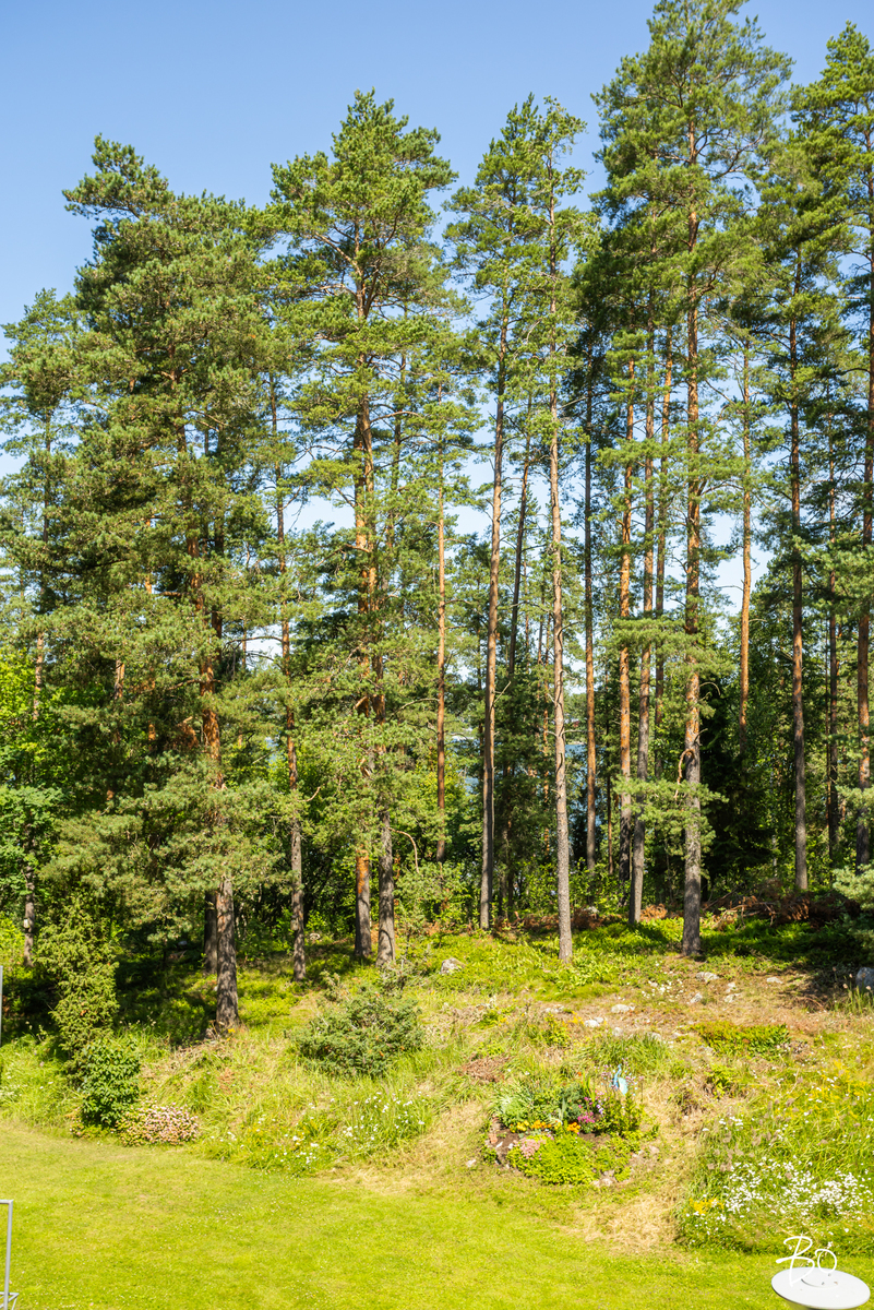 Märssytie 9 - kuva 16