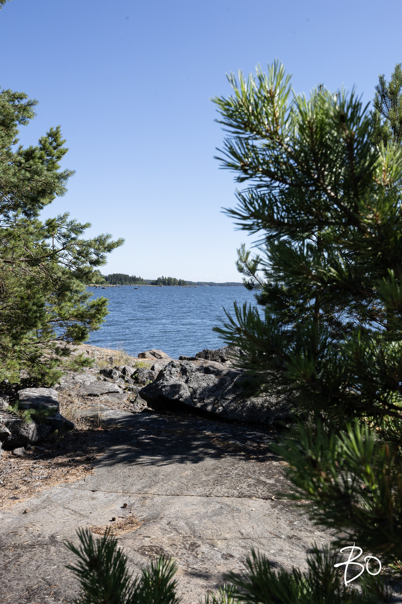 Tupakkikari  - image 55