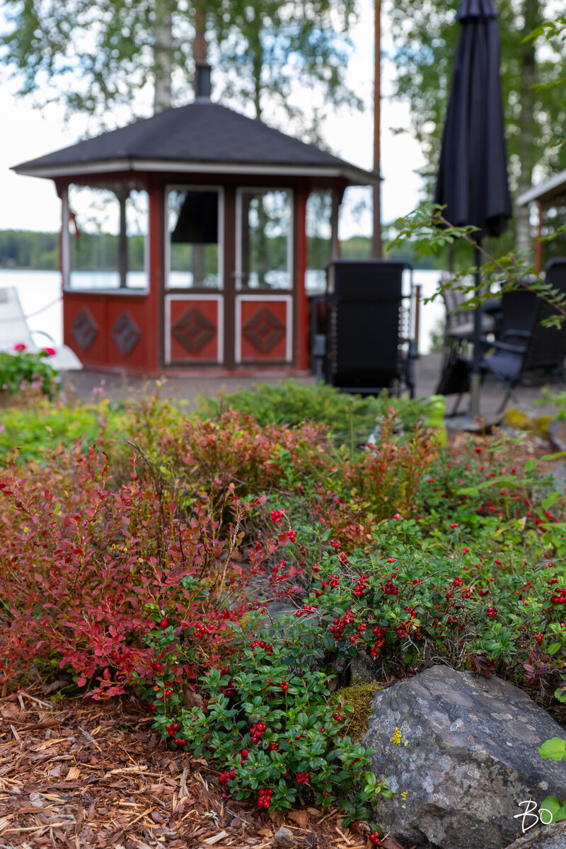 Pohjolantie 231 - image 39