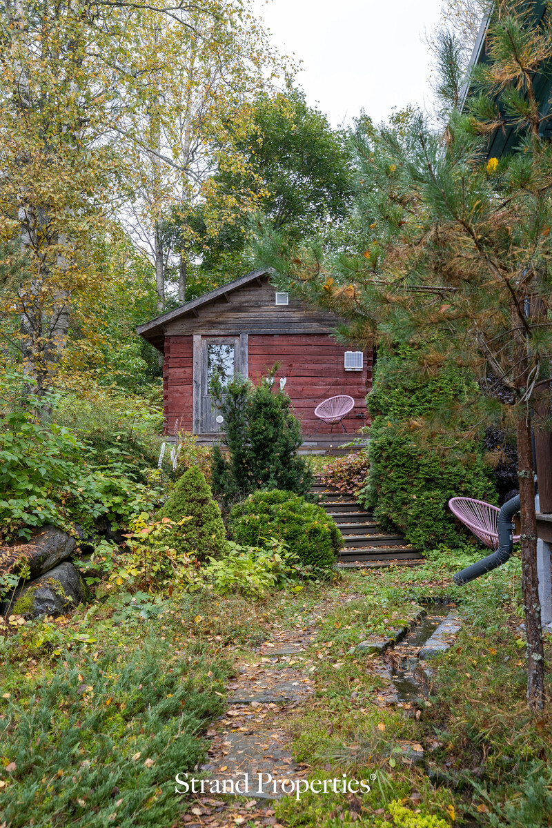 Image 38