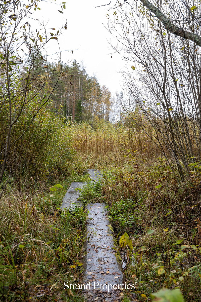 Image 59