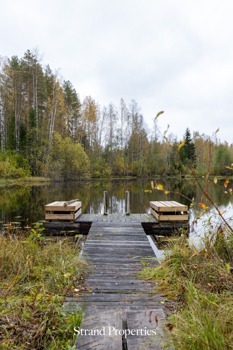 Image 61