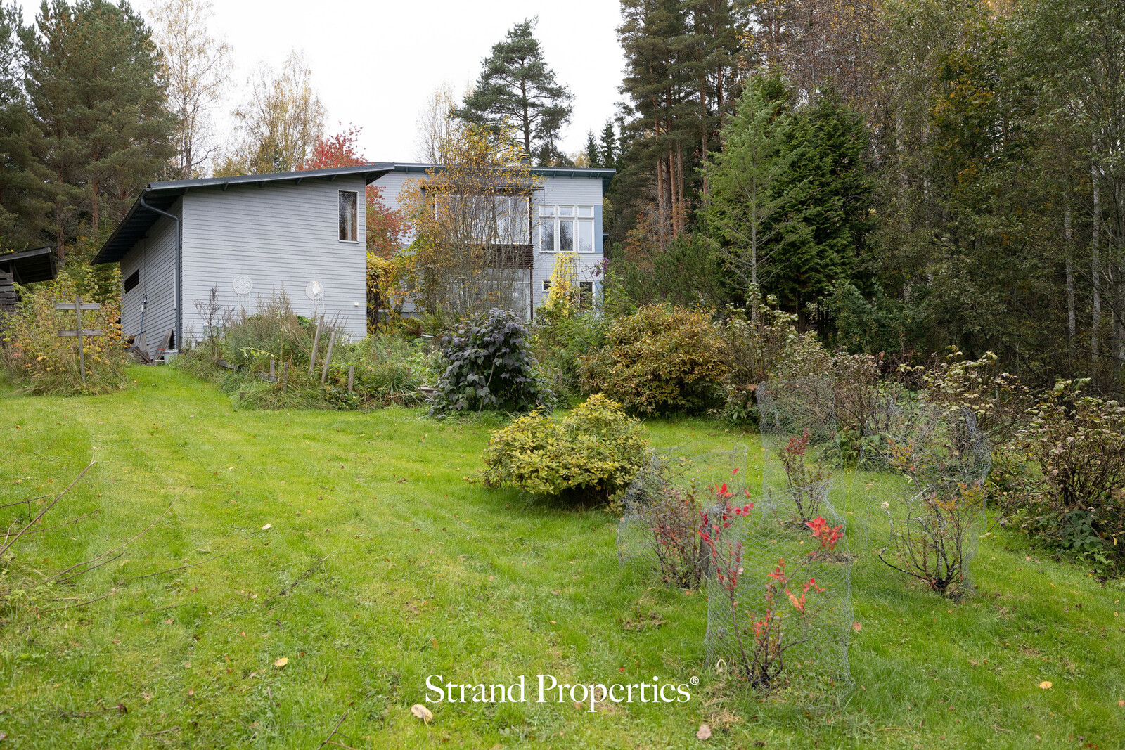 Image 63