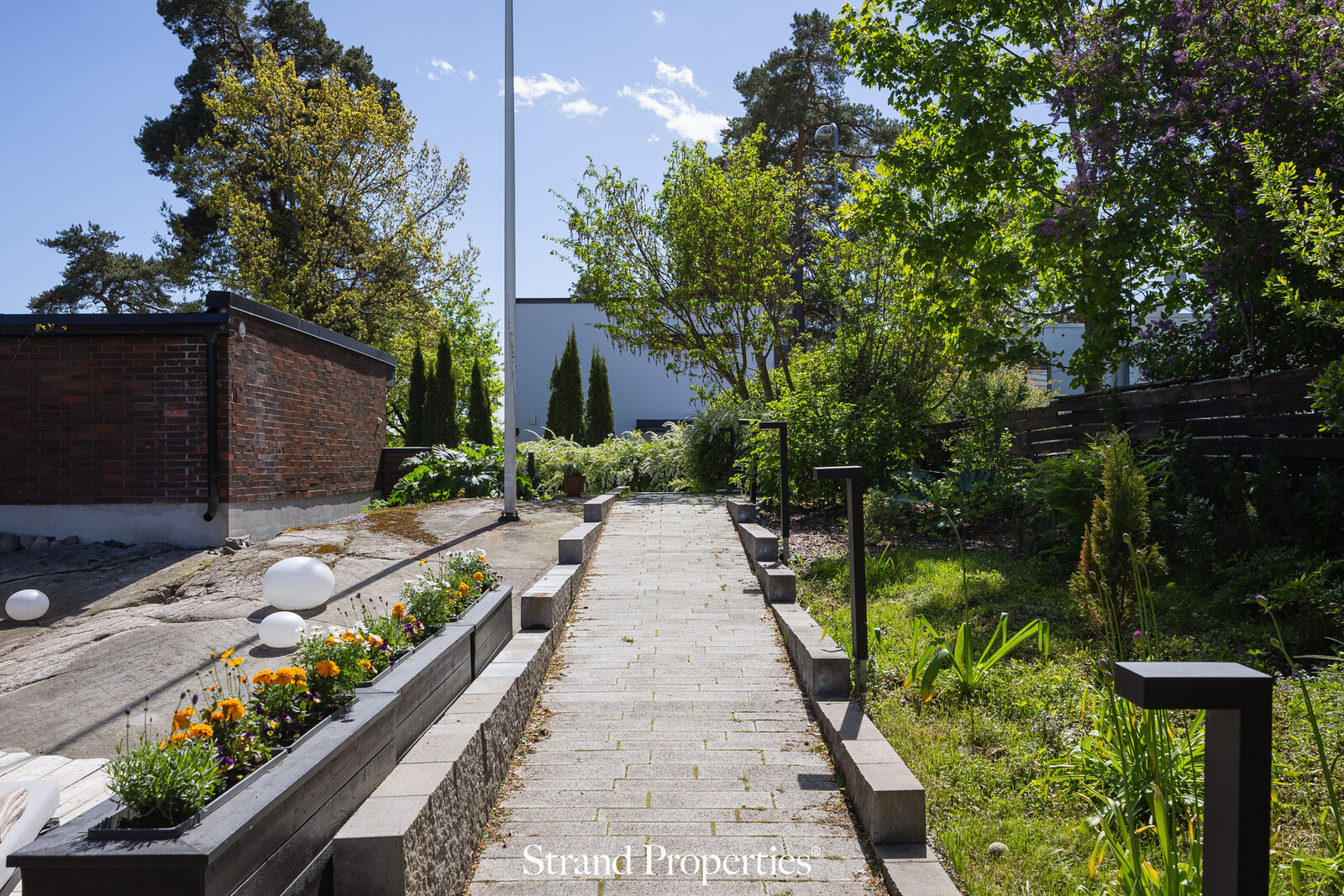 Image 26