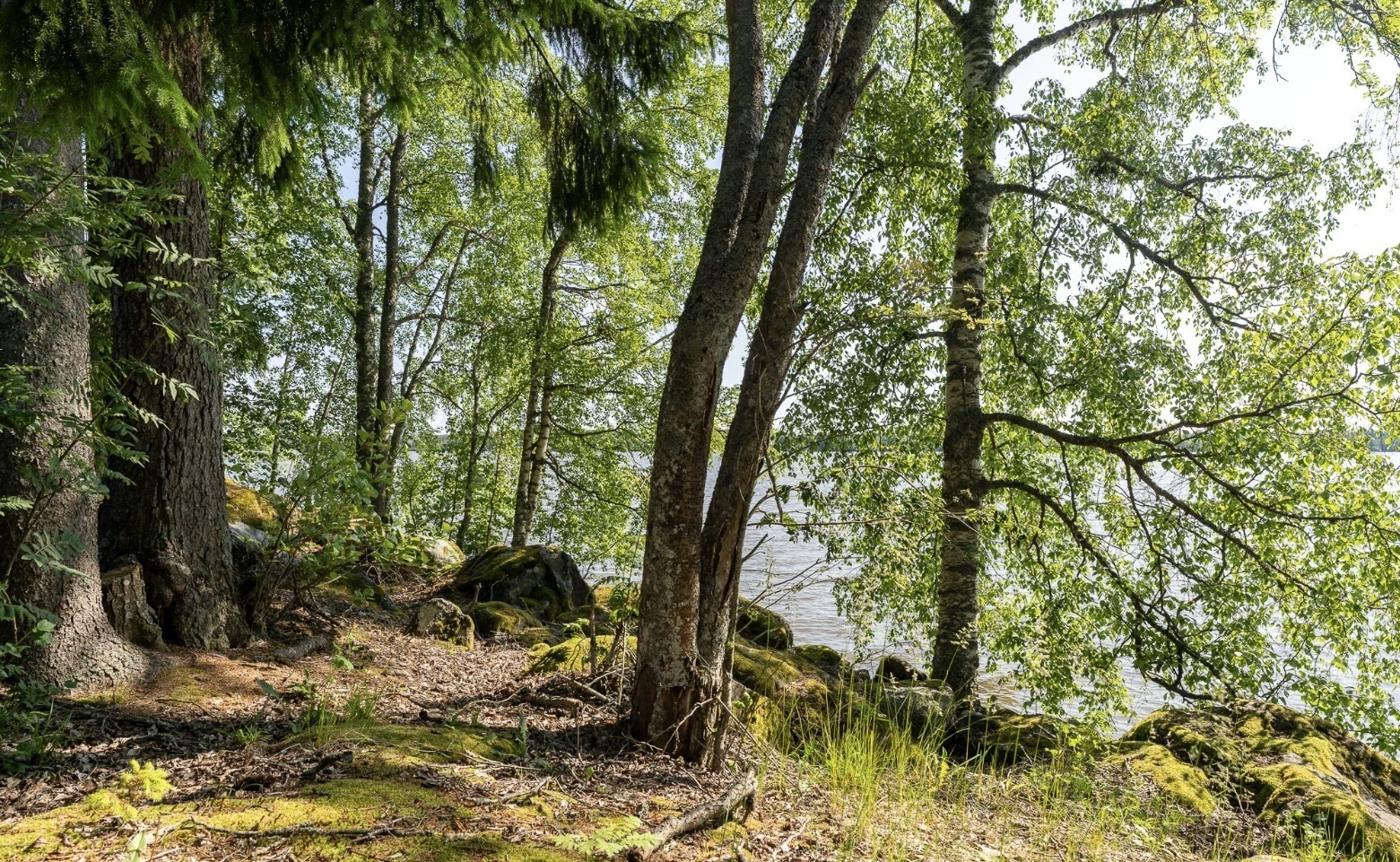 Image 66