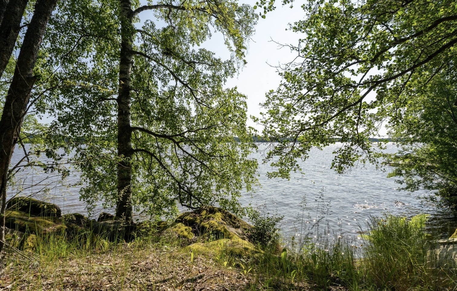 Image 68