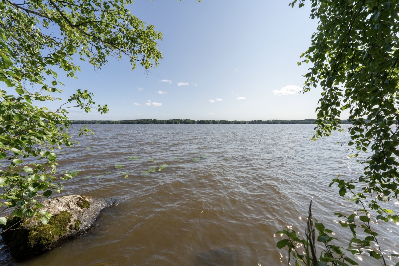 Image 69