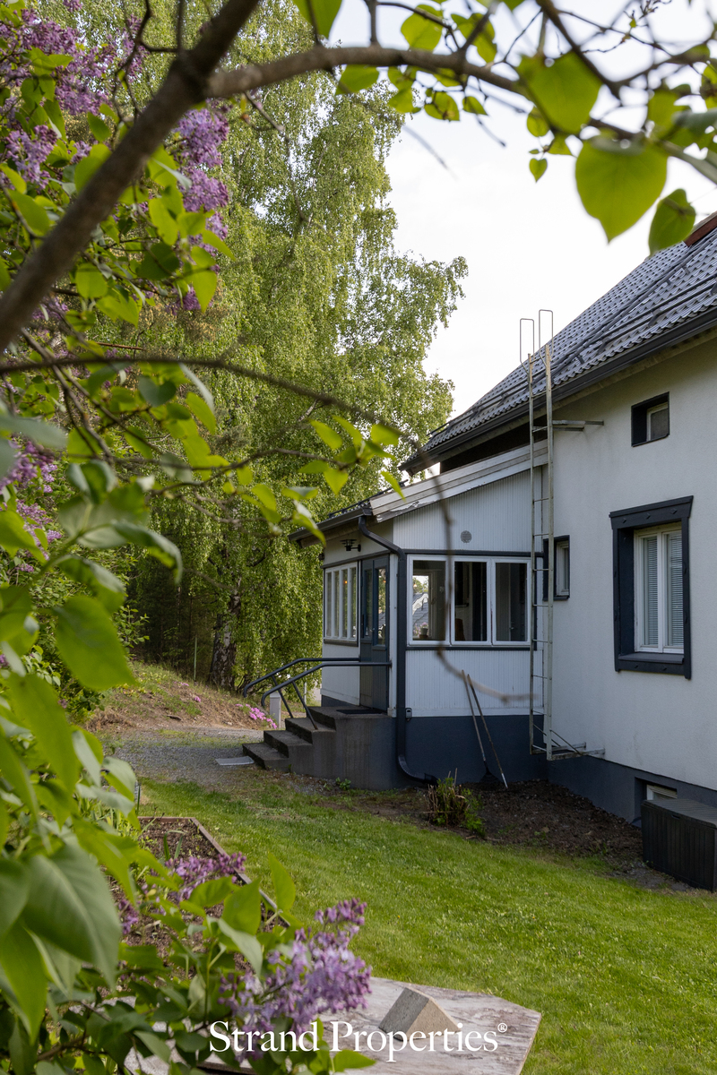 Image 25