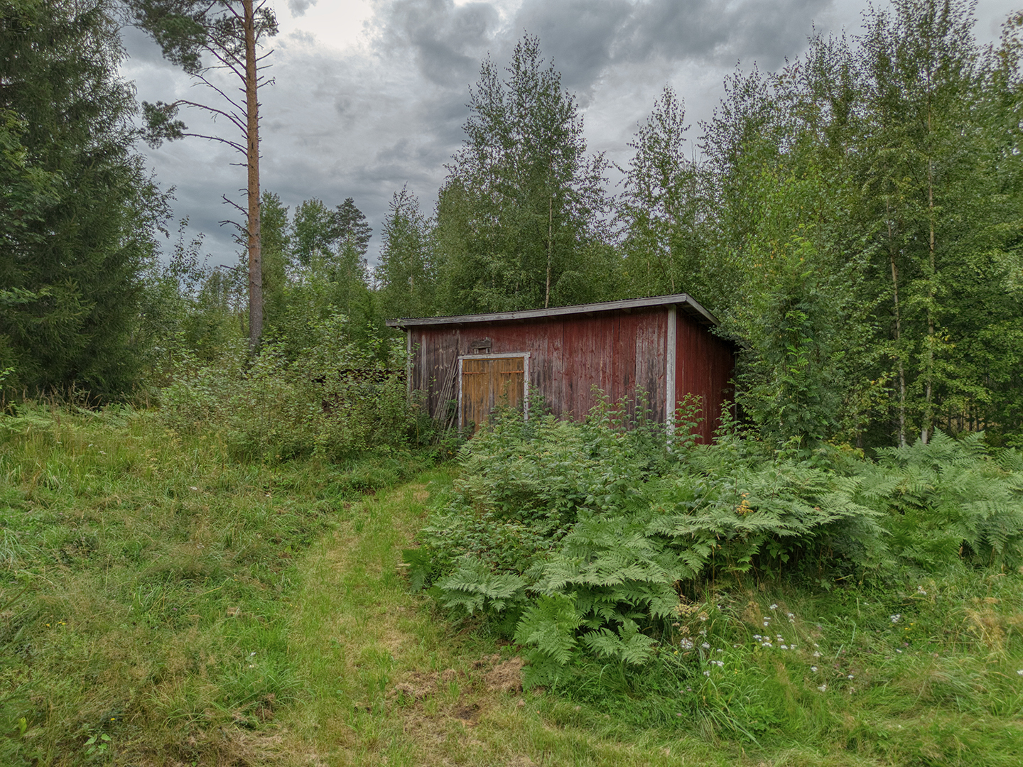 Image 34