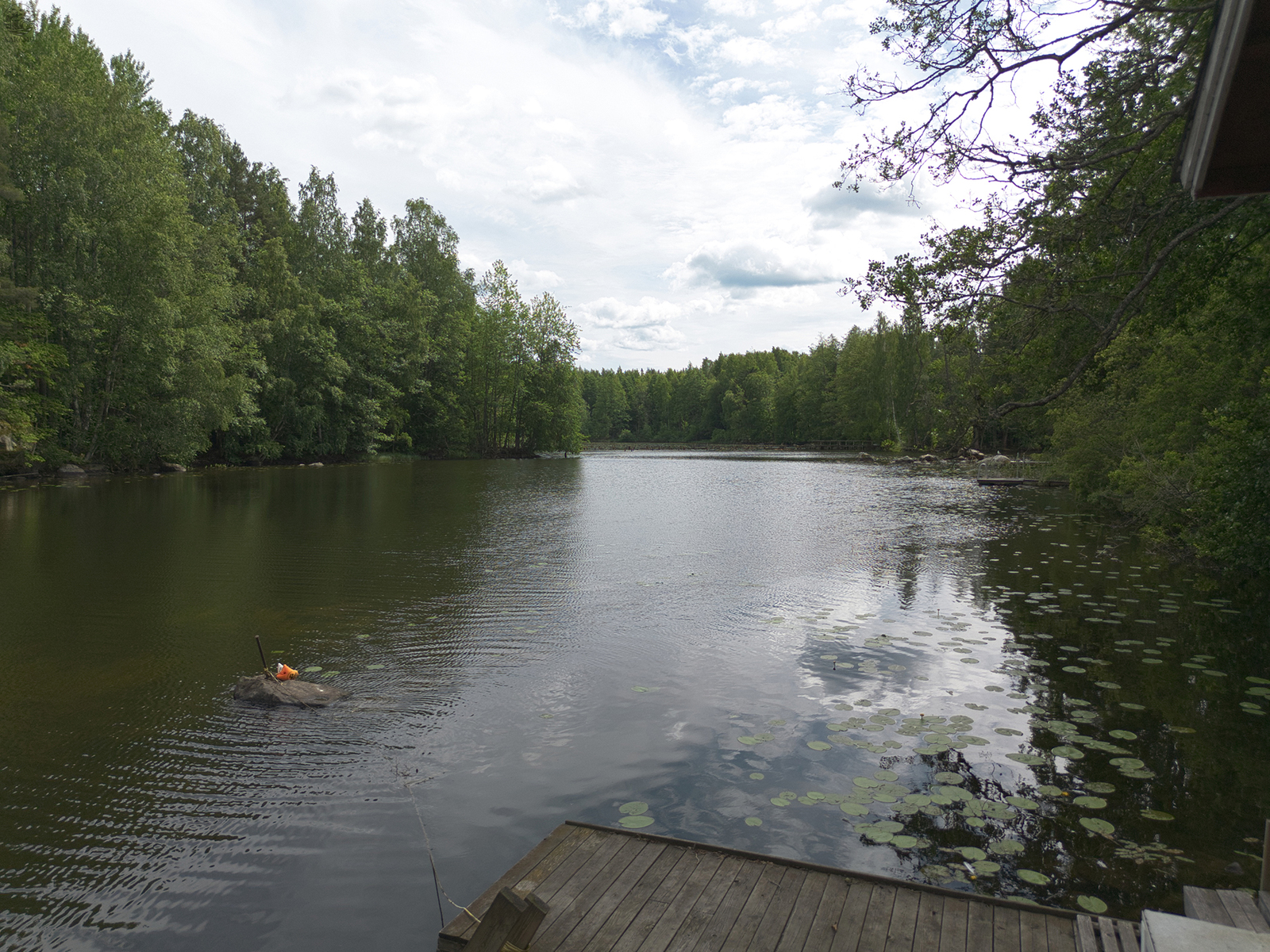 Image 42