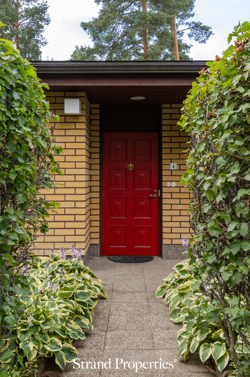Image 25