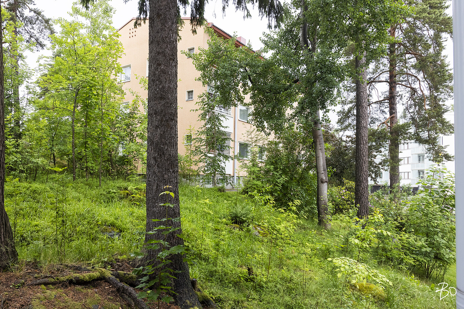 Ilkantie 6 - kuva 18