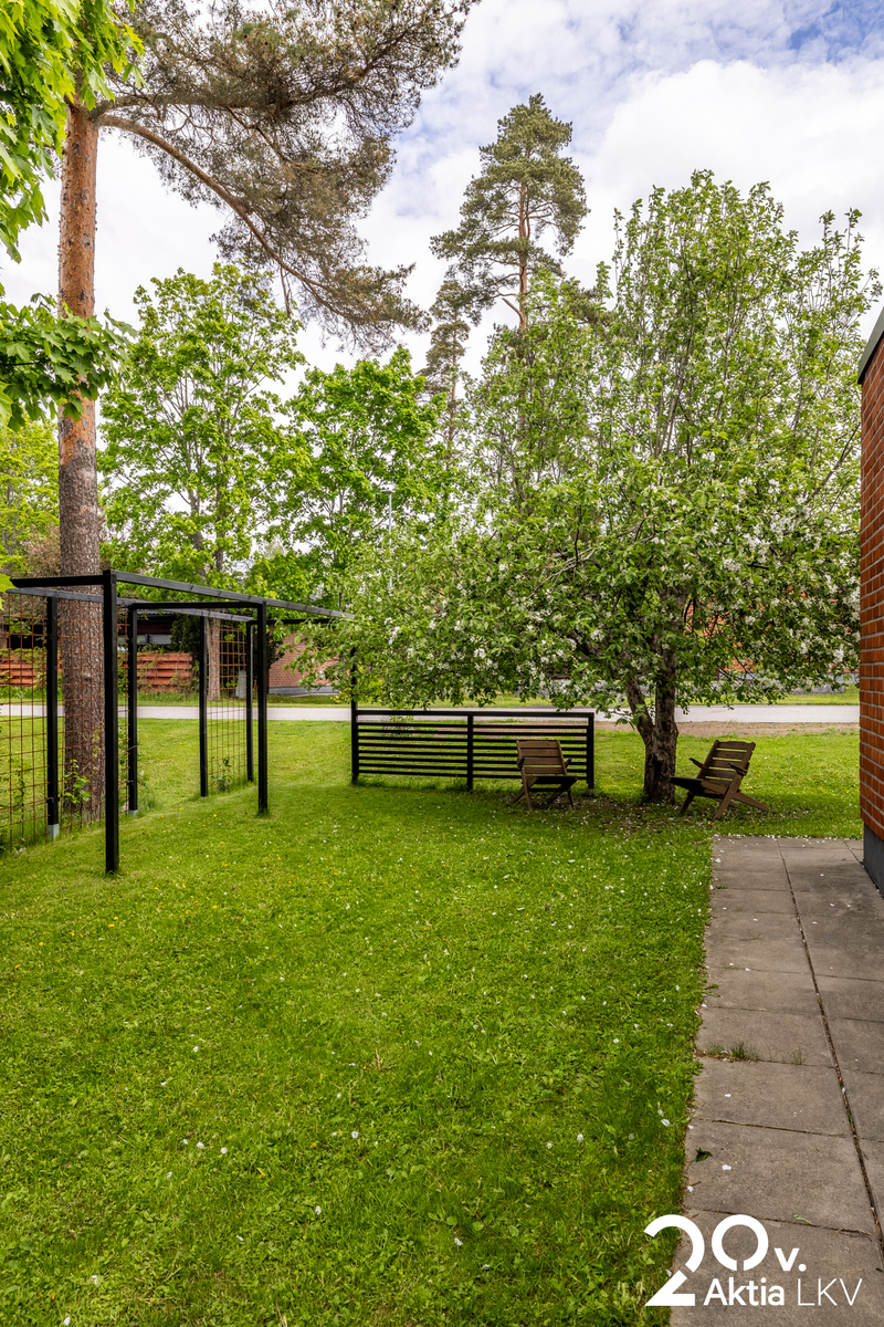 Pihaa pohjoisen puolella