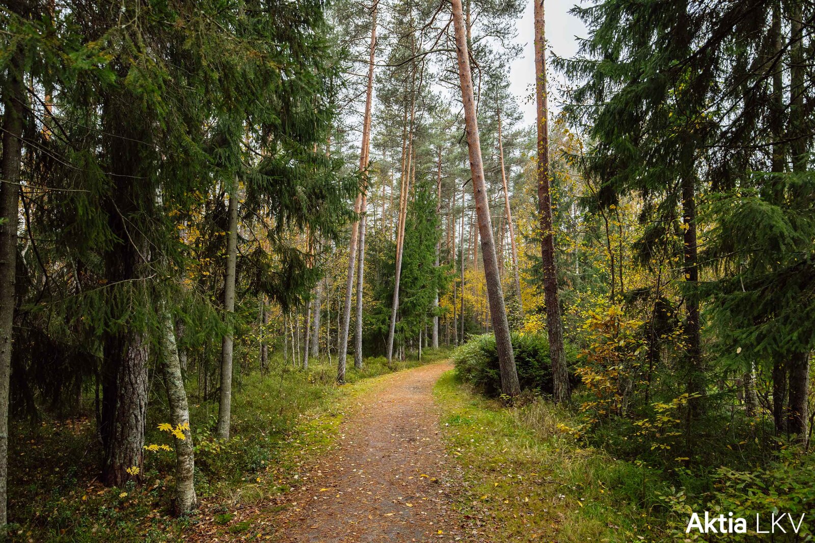 Ulkoilureitille suoraan omalta pihalta