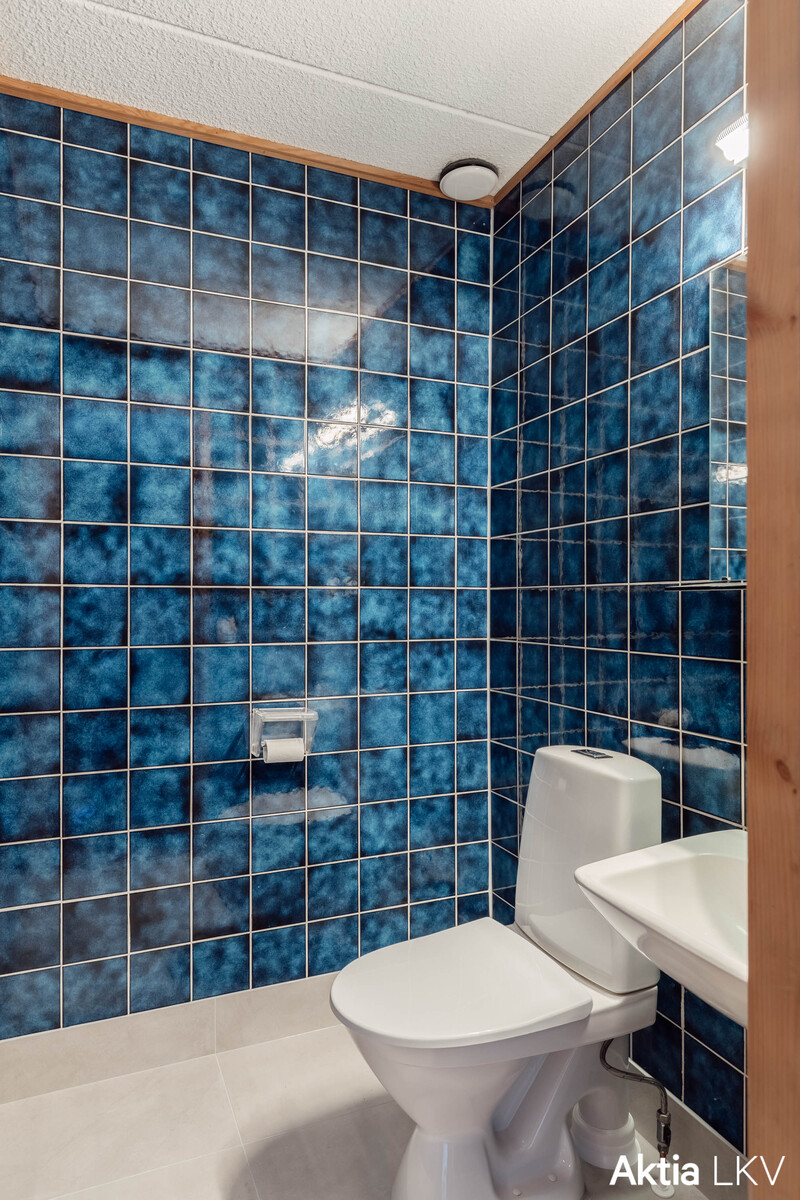 Erillinen wc 1.kerroksessa