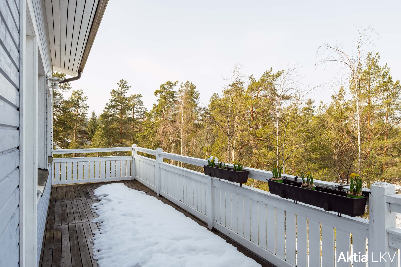 Pohjoisenpuolen parveke, jolta maisemat puistoon