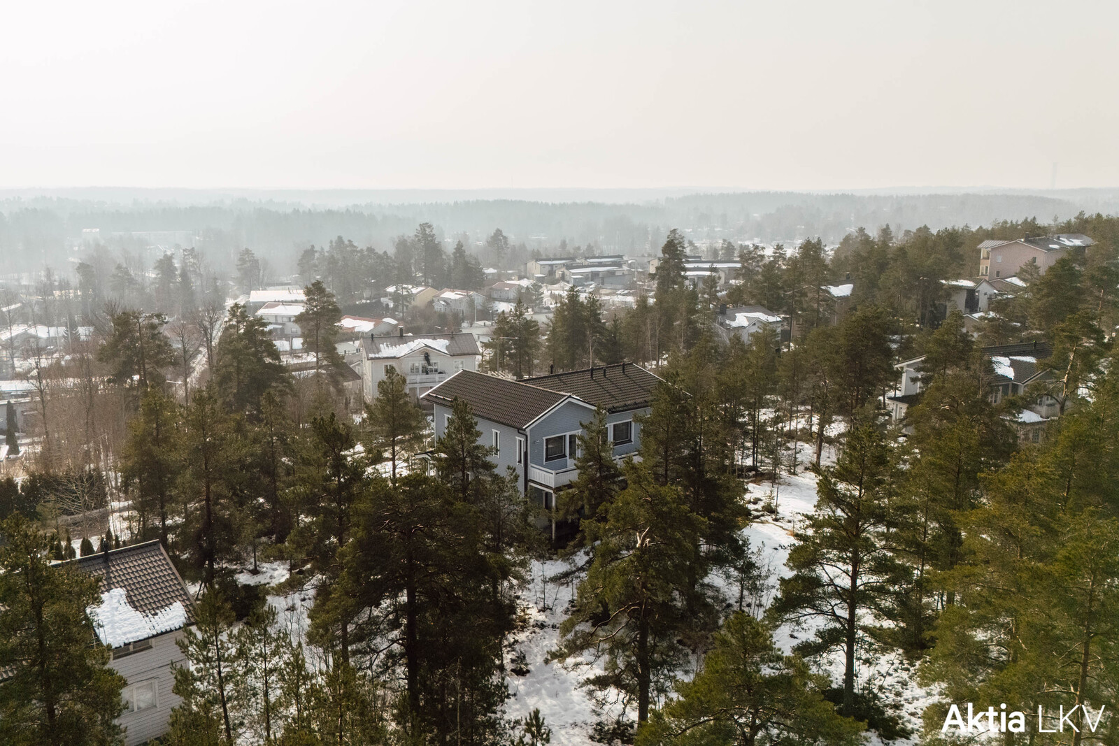 Ilmakuva puiston suunnalta