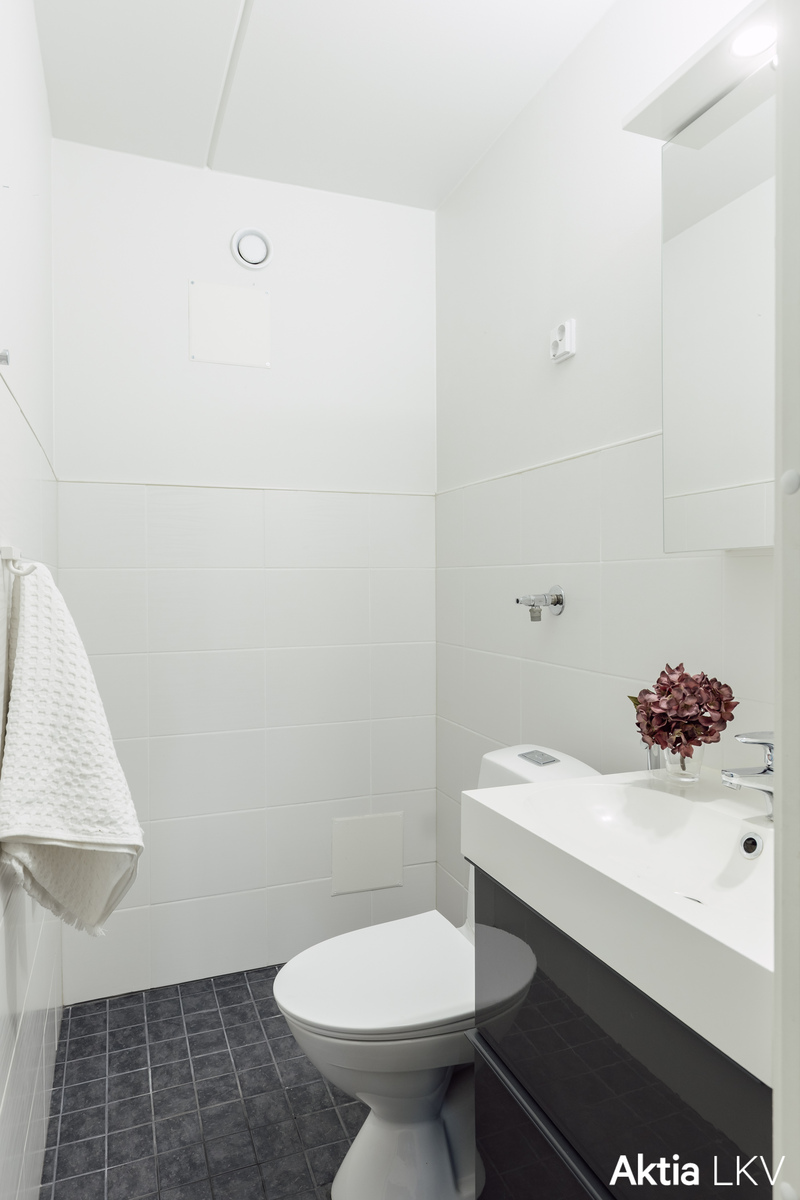 Erillinen wc, jossa paikka pyykkitornille