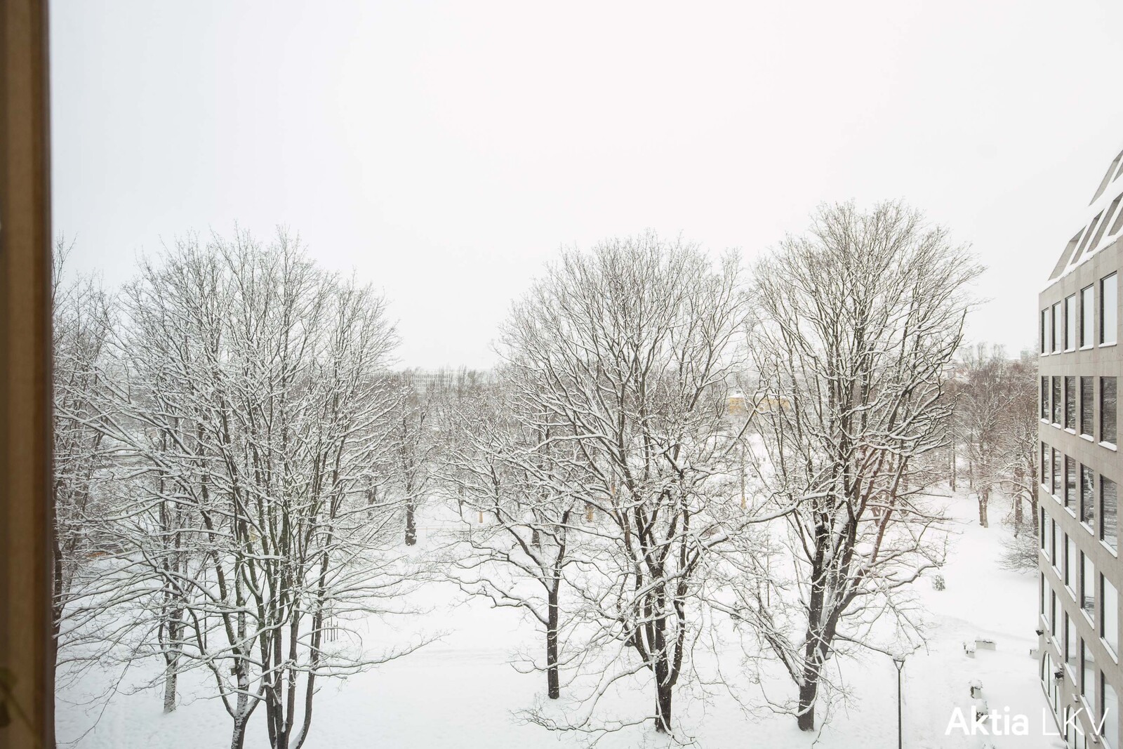 näkymä Kaisaniemen puistoon