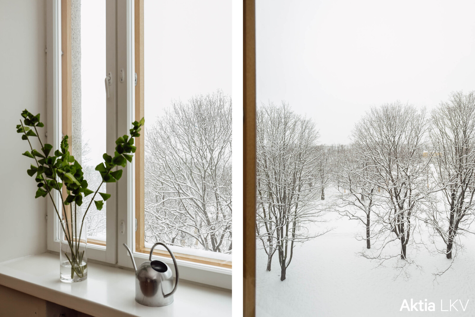 näkymä Kaisaniemen puistoon