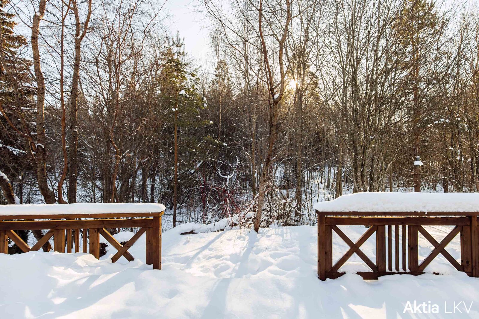 Näkymä takapihalta