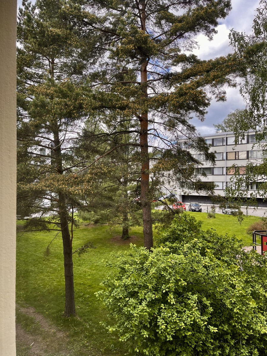 Näkymät ruokailutilasta