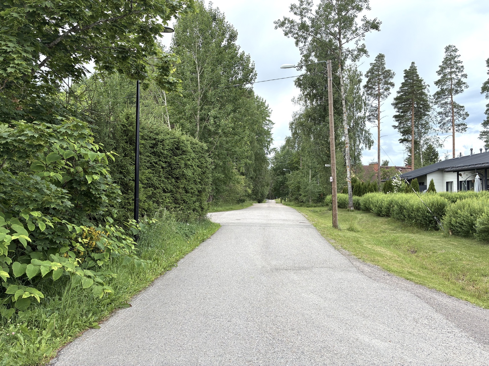 rauhallinen puistoon päättyvä katu
