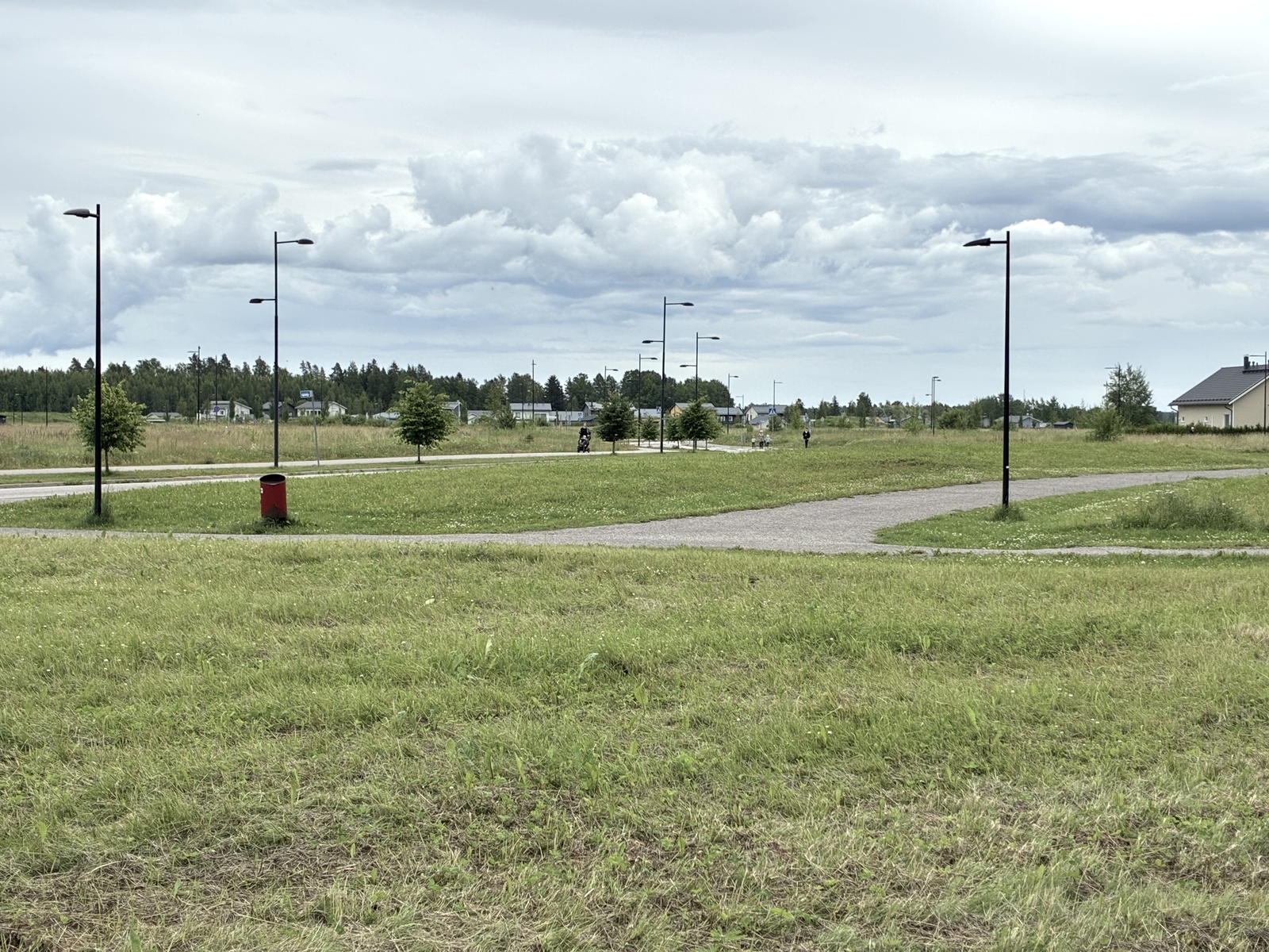 viereinen puisto