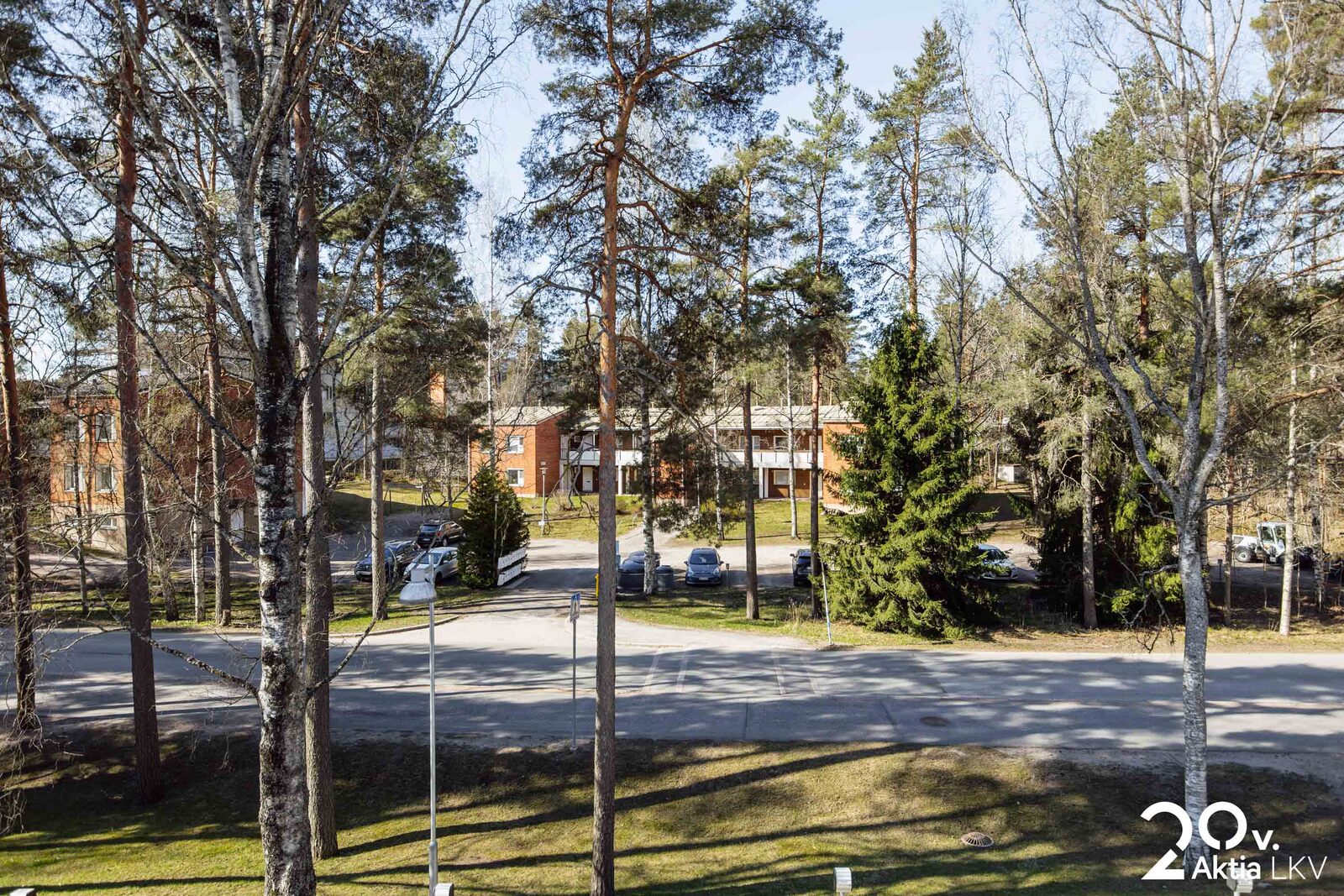 Pihaa