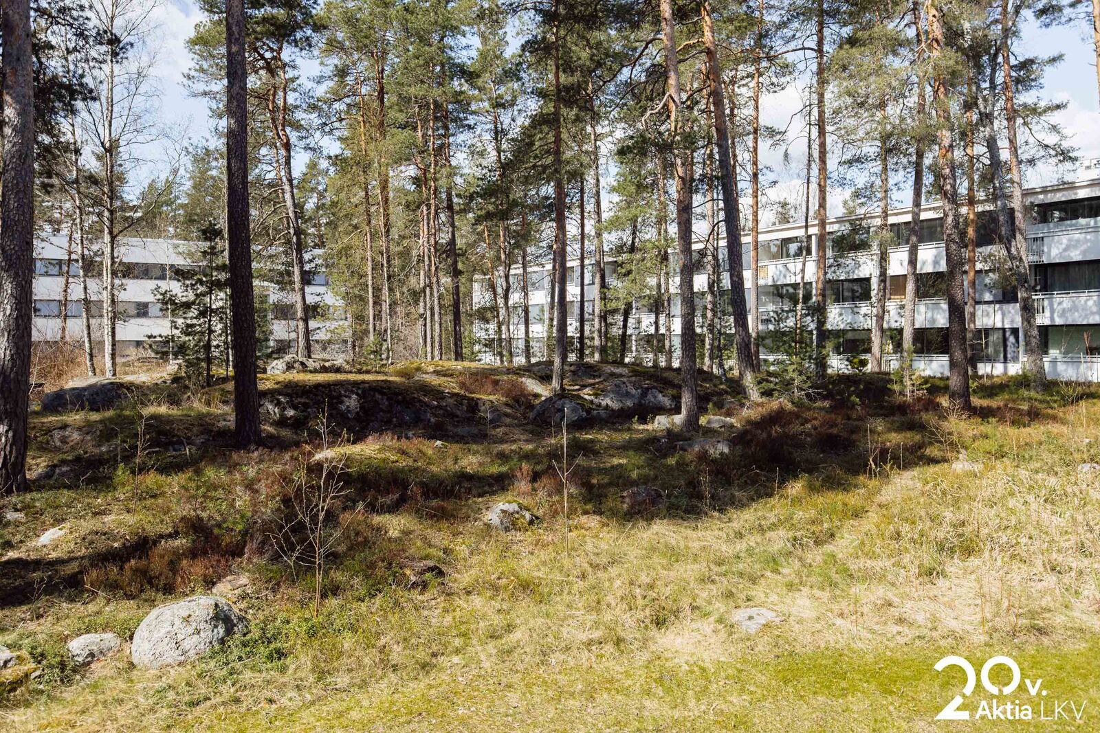 Ympäristöä
