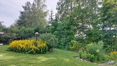 Sorakatu 14, Lahti (Pirttiharju), Kuva 44, esikatselu