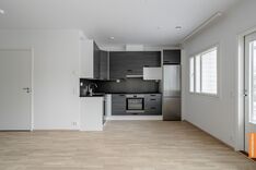 Haltiantie 2, Paimio (Koivulinna), Kuva 3, esikatselu