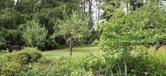 Vihnetie 13, Kaarina (Voivala), Kuva 41, esikatselu