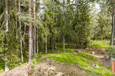 Parvipolku 9, Turku (Harjattula ), Kuva 6, esikatselu