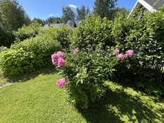 Sveitsinkatu 21, Hyvinkää (Sveitsi), Kuva 19, esikatselu