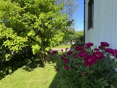 Sveitsinkatu 21, Hyvinkää (Sveitsi), Kuva 20, esikatselu
